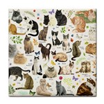 Cats, All, Collage, Cat Face Towel