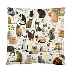 Cats, All, Collage, Cat Standard Cushion Case (Two Sides) from ArtsNow.com Front