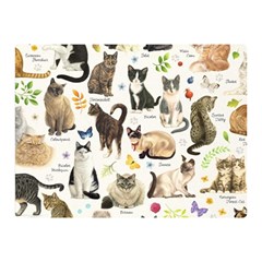 Cats, All, Collage, Cat Two Sides Premium Plush Fleece Blanket (Mini) from ArtsNow.com 35 x27  Blanket Front