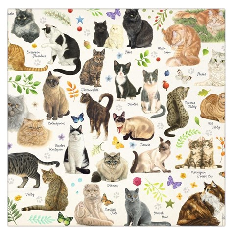 Cats, All, Collage, Cat Square Satin Scarf (36  x 36 ) from ArtsNow.com Front