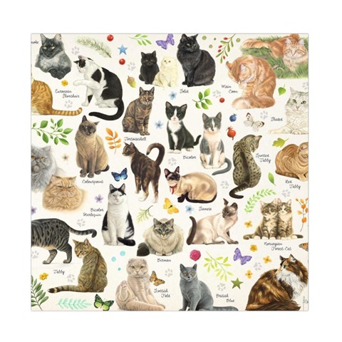 Cats, All, Collage, Cat Duvet Cover Double Side (Full/ Double Size) from ArtsNow.com Back