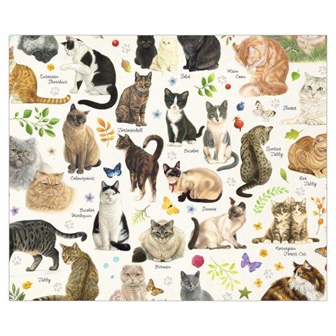 Cats, All, Collage, Cat Medium Tote Bag from ArtsNow.com Back