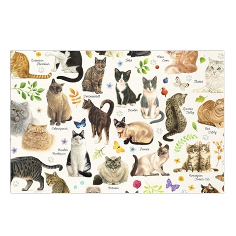 Cats, All, Collage, Cat Waist Pouch (Small) from ArtsNow.com Loop