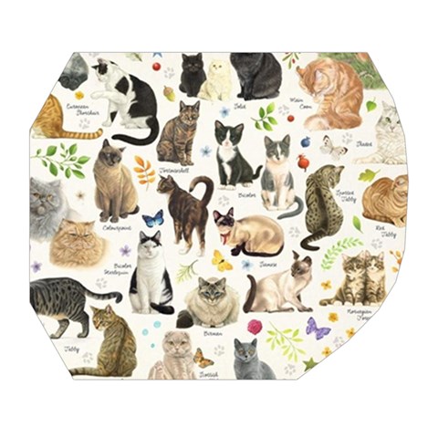 Cats, All, Collage, Cat Belt Pouch Bag (Large) from ArtsNow.com Tape