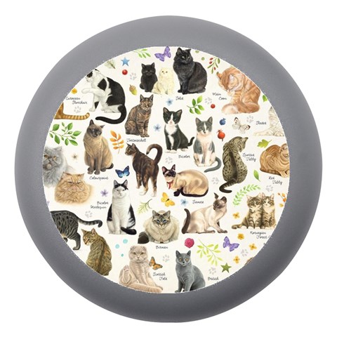 Cats, All, Collage, Cat Dento Box with Mirror from ArtsNow.com Front