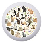 Cats, All, Collage, Cat Dento Box with Mirror