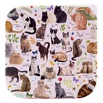 Cats, All, Collage, Cat Stacked food storage container