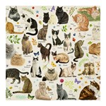 Cats, All, Collage, Cat Banner and Sign 3  x 3 