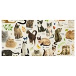 Cats, All, Collage, Cat Banner and Sign 4  x 2 