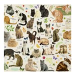 Cats, All, Collage, Cat Banner and Sign 4  x 4 