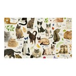 Cats, All, Collage, Cat Banner and Sign 5  x 3 