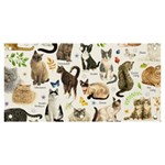 Cats, All, Collage, Cat Banner and Sign 6  x 3 