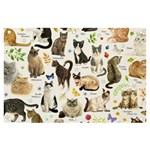 Cats, All, Collage, Cat Banner and Sign 6  x 4 