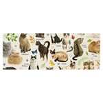 Cats, All, Collage, Cat Banner and Sign 8  x 3 