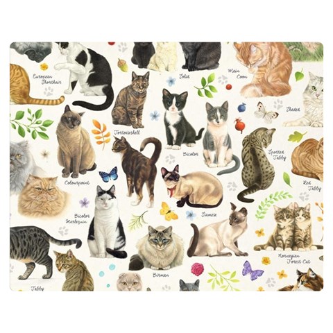 Cats, All, Collage, Cat Premium Plush Fleece Blanket (Medium) from ArtsNow.com 60 x50  Blanket Front