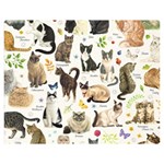 Cats, All, Collage, Cat Premium Plush Fleece Blanket (Medium)