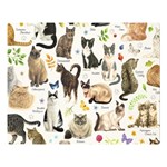 Cats, All, Collage, Cat Premium Plush Fleece Blanket (Large)