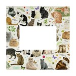 Cats, All, Collage, Cat White Box Photo Frame 4  x 6 