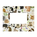 Cats, All, Collage, Cat White Tabletop Photo Frame 4 x6 