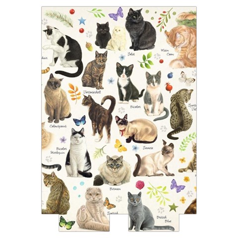 Cats, All, Collage, Cat Automatic Folding Umbrella with Case (Large) from ArtsNow.com Case