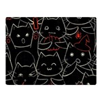 Catty Two Sides Premium Plush Fleece Blanket (Mini)