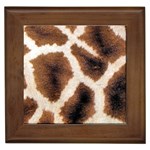 Giraffe Skin Texture Framed Tile