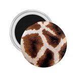 Giraffe Skin Texture 2.25  Magnets