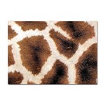 Giraffe Skin Texture Sticker A4 (10 pack)