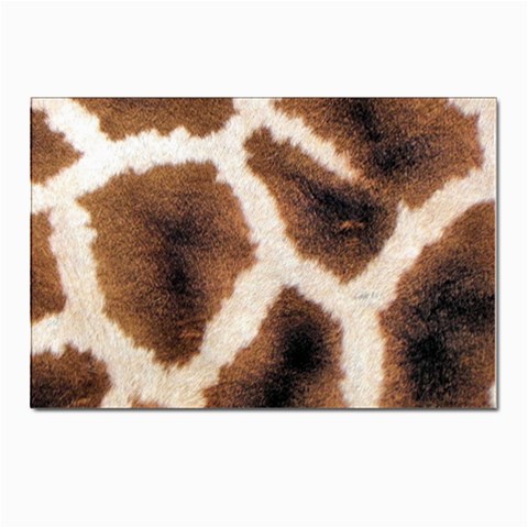 Giraffe Skin Texture Postcard 4 x 6  (Pkg of 10) from ArtsNow.com Front