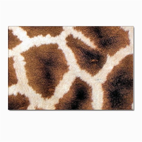 Giraffe Skin Texture Postcards 5  x 7  (Pkg of 10) from ArtsNow.com Front