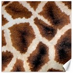 Giraffe Skin Texture Canvas 12  x 12 