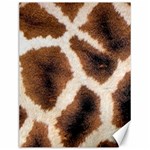 Giraffe Skin Texture Canvas 12  x 16 