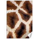 Giraffe Skin Texture Canvas 12  x 18 