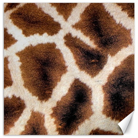 Giraffe Skin Texture Canvas 20  x 20  from ArtsNow.com 19 x19.27  Canvas - 1