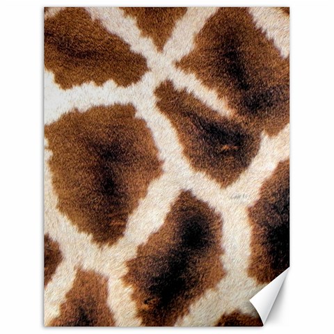 Giraffe Skin Texture Canvas 18  x 24  from ArtsNow.com 17.8 x23.08  Canvas - 1