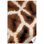 Giraffe Skin Texture Canvas 20  x 30 