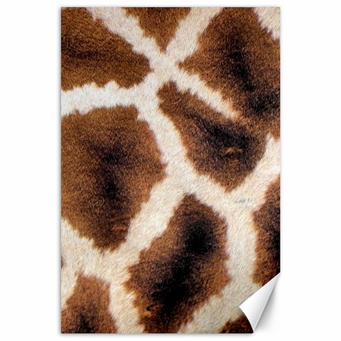 Giraffe Skin Texture Canvas 24  x 36  from ArtsNow.com 23.35 x34.74  Canvas - 1