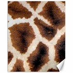 Giraffe Skin Texture Canvas 11  x 14 