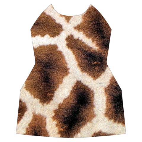 Giraffe Skin Texture Women s Long Sleeve Raglan T Front