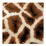 Giraffe Skin Texture Banner and Sign 4  x 4 