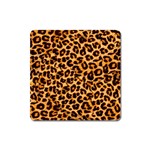 Giraffe Texture, Close-up, Giraffe Skin Texture Square Magnet