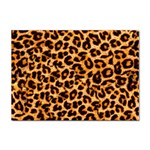 Giraffe Texture, Close-up, Giraffe Skin Texture Sticker A4 (10 pack)