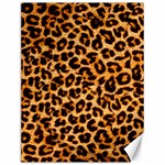 Giraffe Texture, Close-up, Giraffe Skin Texture Canvas 12  x 16 