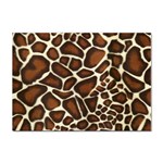 Giraffe Texture, Macro Sticker A4 (100 pack)