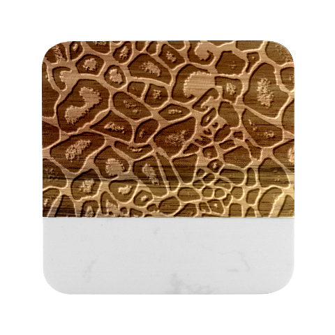 Giraffe Texture, Macro Marble Wood Coaster (Square) from ArtsNow.com Front