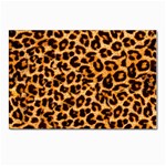 Leopard Skin Texture Macro, Brown Postcard 4 x 6  (Pkg of 10)