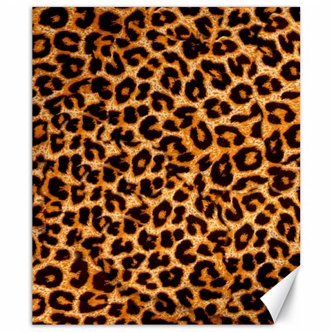 Leopard Skin Texture Macro, Brown Canvas 8  x 10  from ArtsNow.com 8.15 x9.66  Canvas - 1