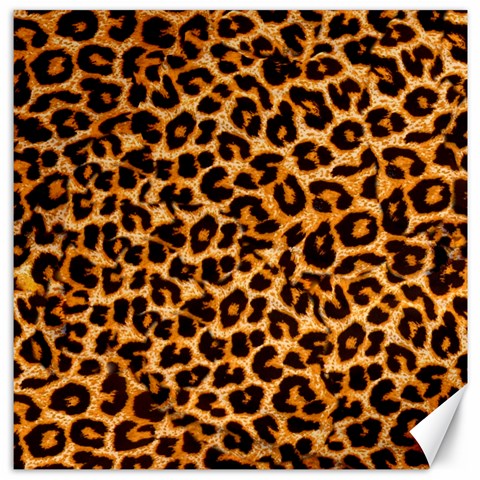 Leopard Skin Texture Macro, Brown Canvas 12  x 12  from ArtsNow.com 11.4 x11.56  Canvas - 1