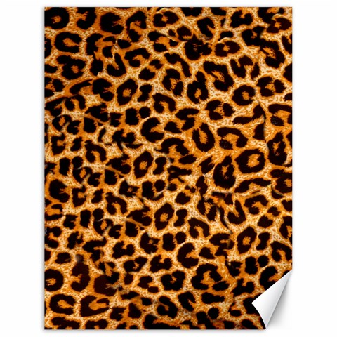 Leopard Skin Texture Macro, Brown Canvas 18  x 24  from ArtsNow.com 17.8 x23.08  Canvas - 1