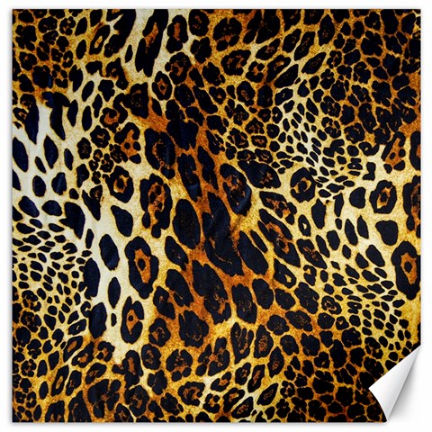 Leopard Skin Texture, Macro, Brown Canvas 16  x 16  from ArtsNow.com 15.2 x15.41  Canvas - 1